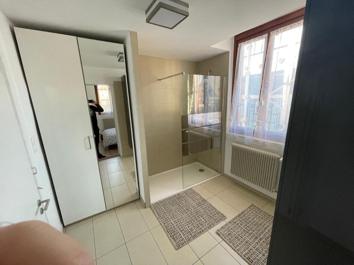 Appartement Le Fil D'Or Колмар Екстериор снимка